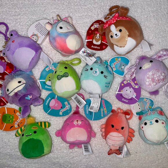 11 NWT Squishmallow Clips Bundle - Picture 1 of 1